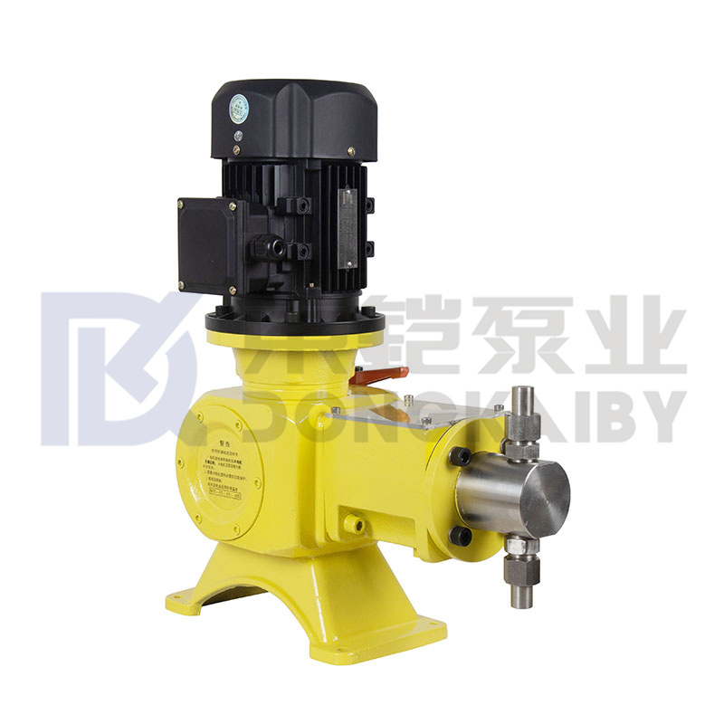 Summus perficientur Phosphate Dosing Pump