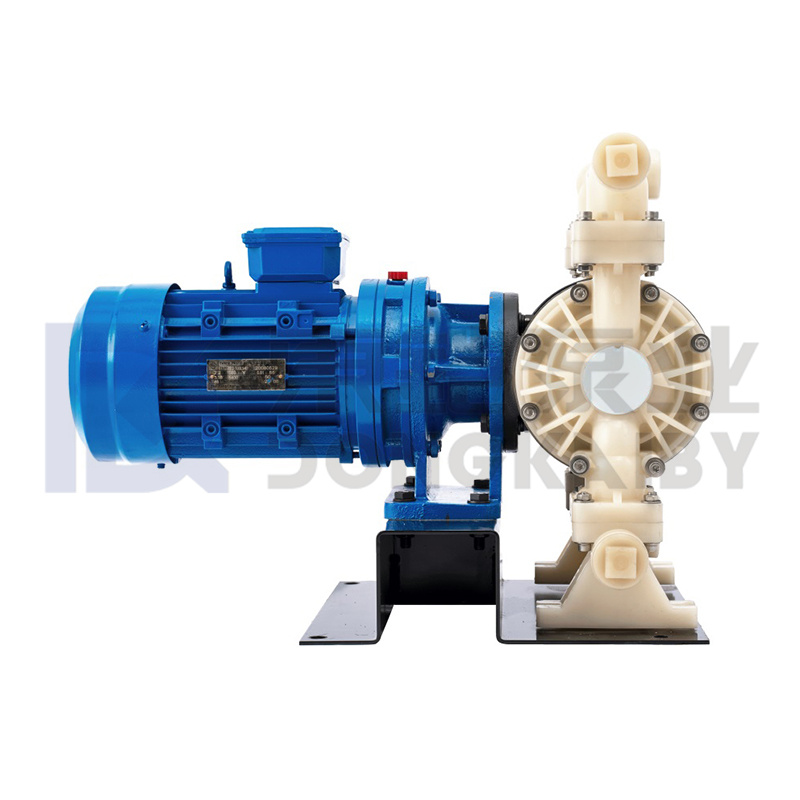 Plastic Air-Operated Duplex Diaphragma Pumps